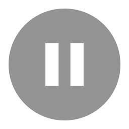Colorful paused status icon